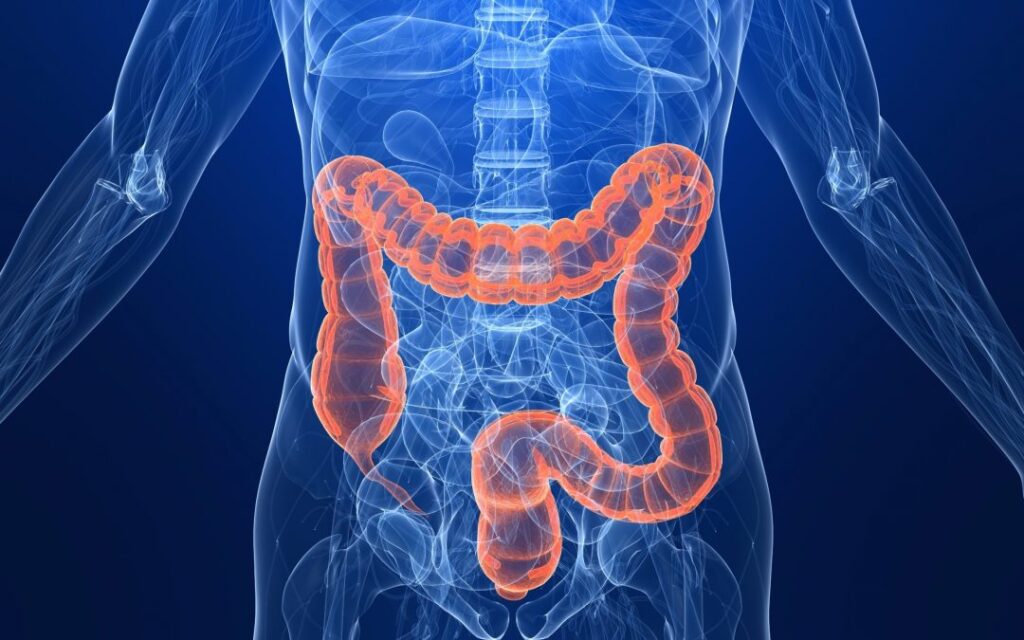 Updated Colon Cancer Screening Guidelines