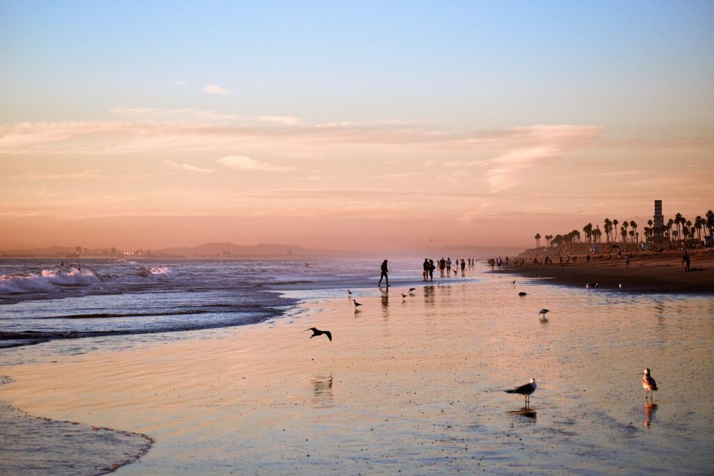 What’s happening this weekend… February 14-16th