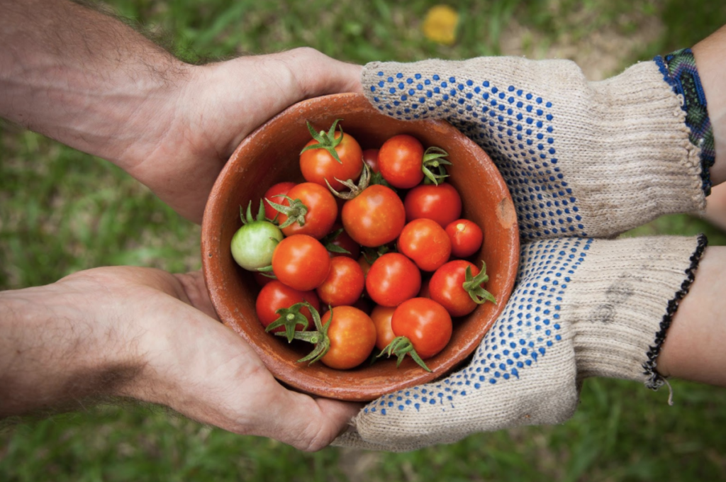 12 MONTHS OF GIVING: Huntington Beach Community Garden.